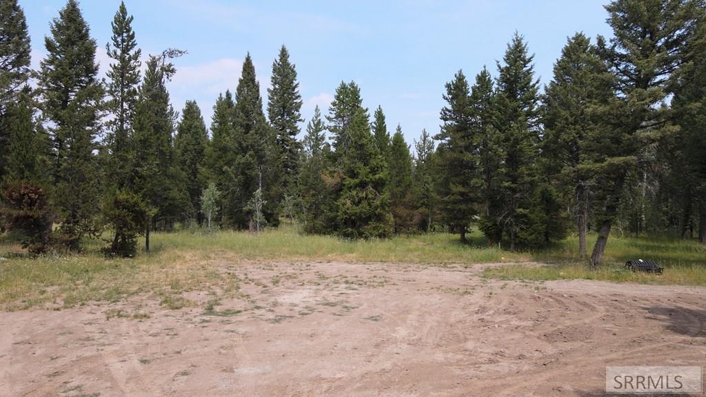 2831 Morning Dew Drive, ISLAND PARK, Idaho image 4
