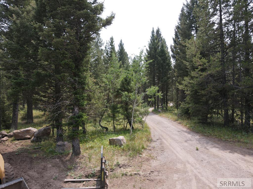 2831 Morning Dew Drive, ISLAND PARK, Idaho image 1