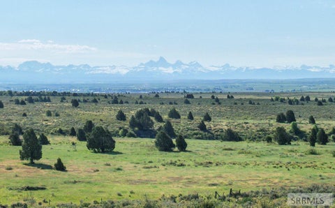 Vacant Land For Sale - 1700 N Sadorus Hill Road<br/> ASHTON, ID 83420