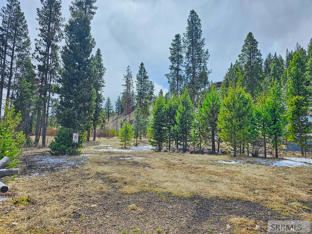 3571 Panther Creek Road, SHOUP, Idaho image 2