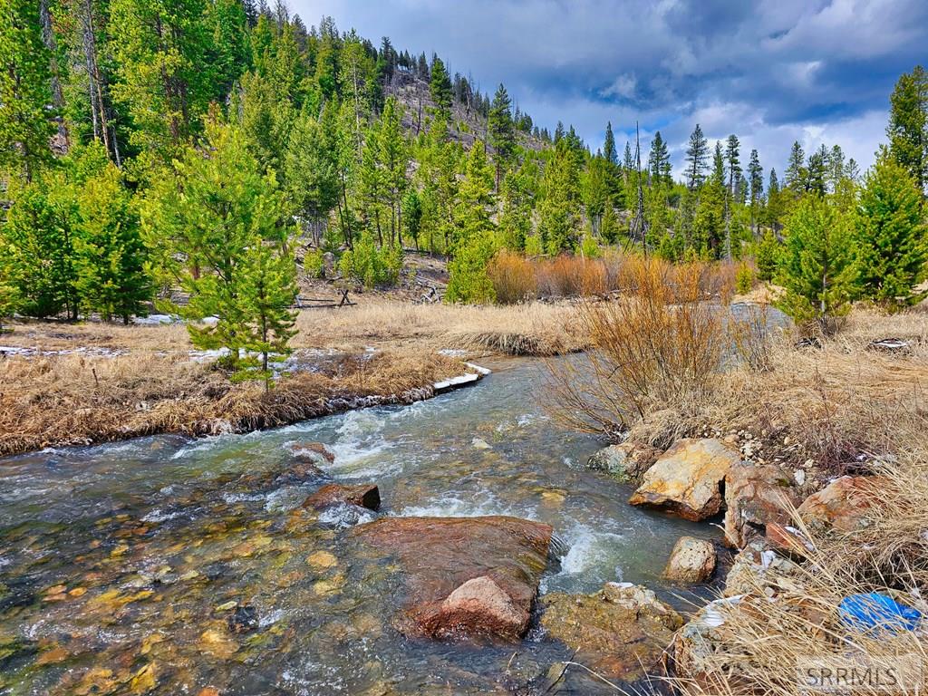 3571 Panther Creek Road, SHOUP, Idaho image 17