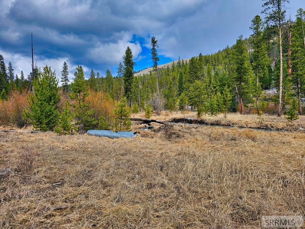 3571 Panther Creek Road, SHOUP, Idaho image 29