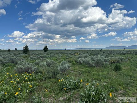 Vacant Land For Sale - 4023 Brooks Blaze Lane<br/> Fremont County, ISLAND PARK, ID 83429
