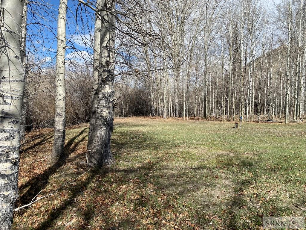4585 Garden Creek Road, CHALLIS, Idaho image 34