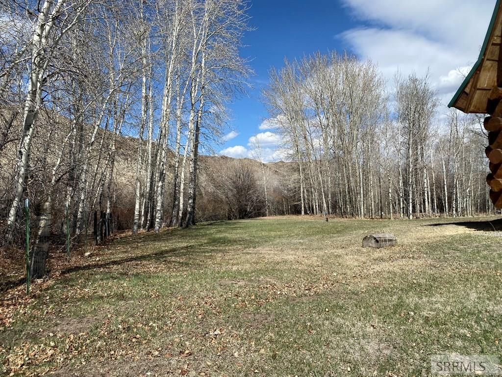 4585 Garden Creek Road, CHALLIS, Idaho image 33