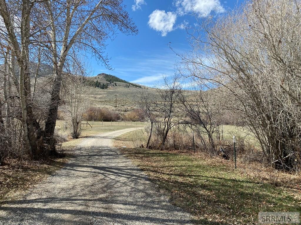 4585 Garden Creek Road, CHALLIS, Idaho image 45