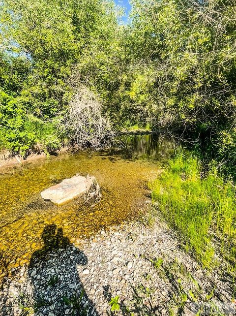 Vacant Land For Sale - TBD Trumpeter Road<br/> SWAN VALLEY, ID 83449