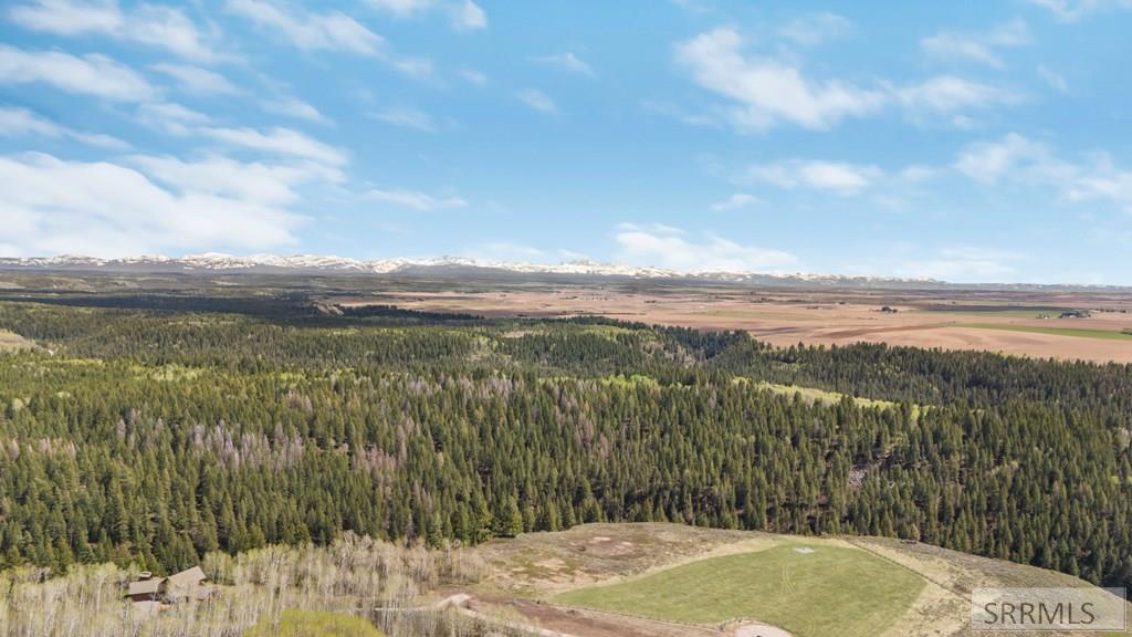1657 Renegade Fly Drive, ASHTON, Idaho image 8