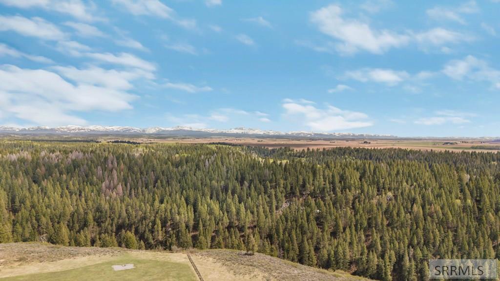 1657 Renegade Fly Drive, ASHTON, Idaho image 14