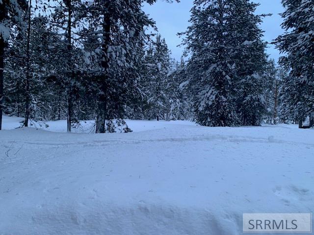 3507 Rocky Lane, ISLAND PARK, Idaho image 5