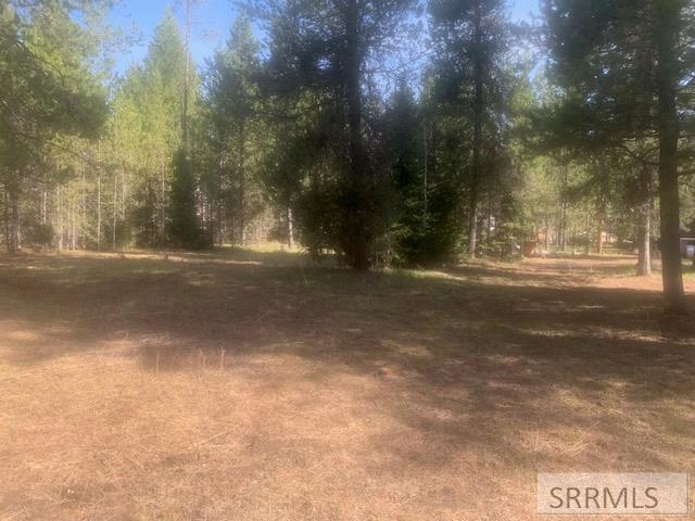 3507 Rocky Lane, ISLAND PARK, Idaho image 3