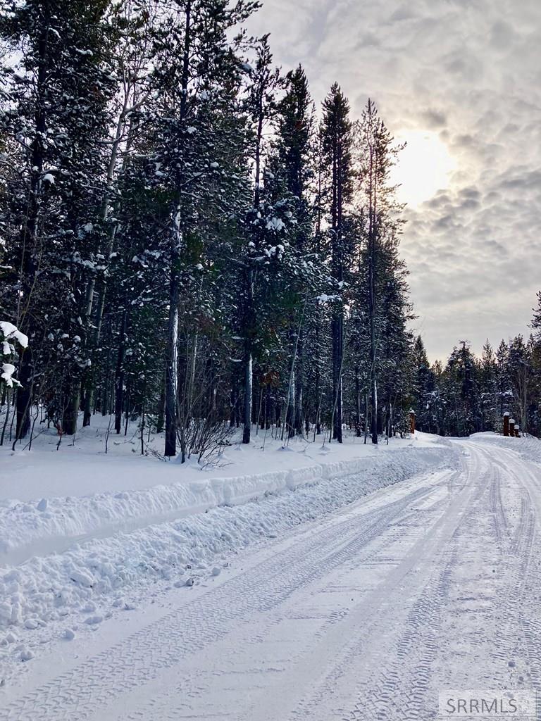 TBD Annies Landing, ASHTON, Idaho image 3