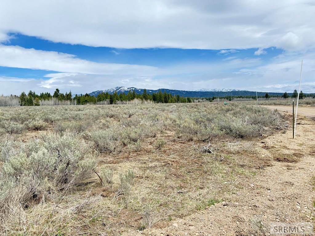 4055 Ryan, ISLAND PARK, Idaho image 3