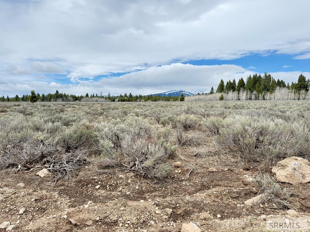 4055 Ryan, ISLAND PARK, Idaho image 4