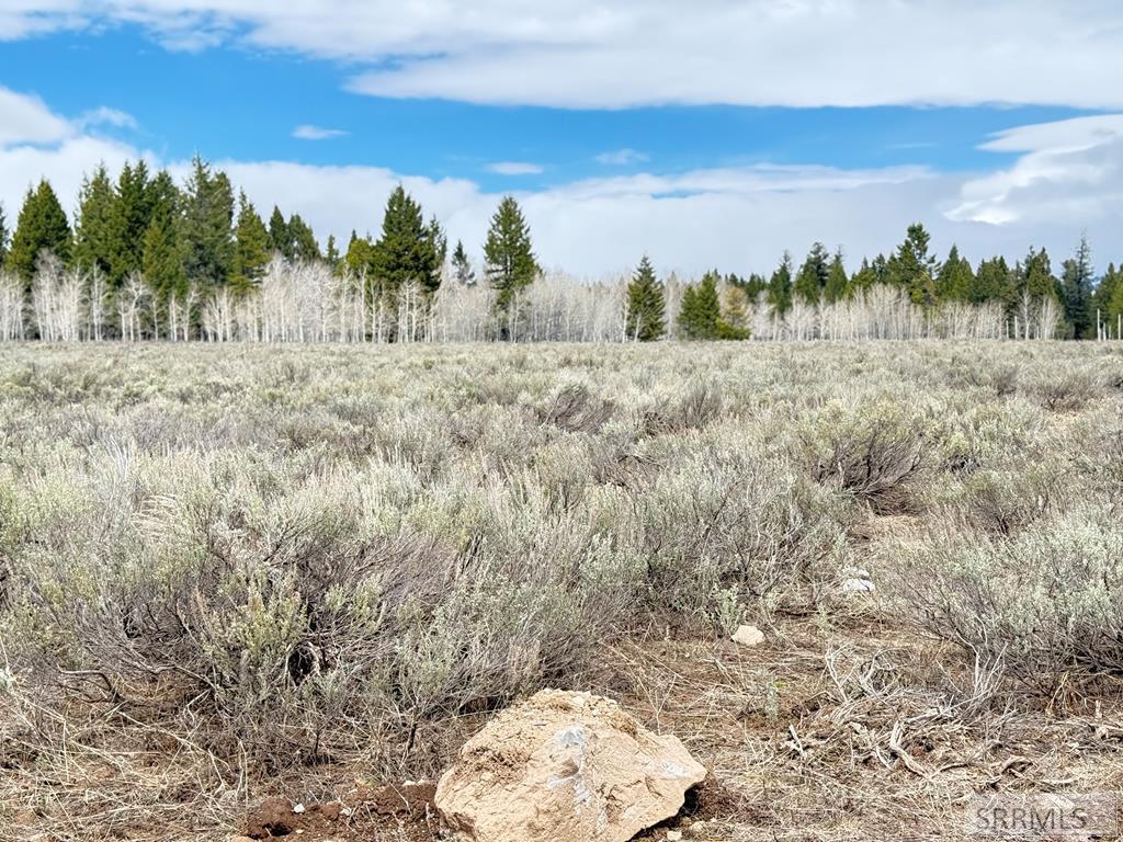 4055 Ryan, ISLAND PARK, Idaho image 1