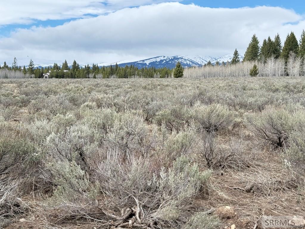 4055 Ryan, ISLAND PARK, Idaho image 5