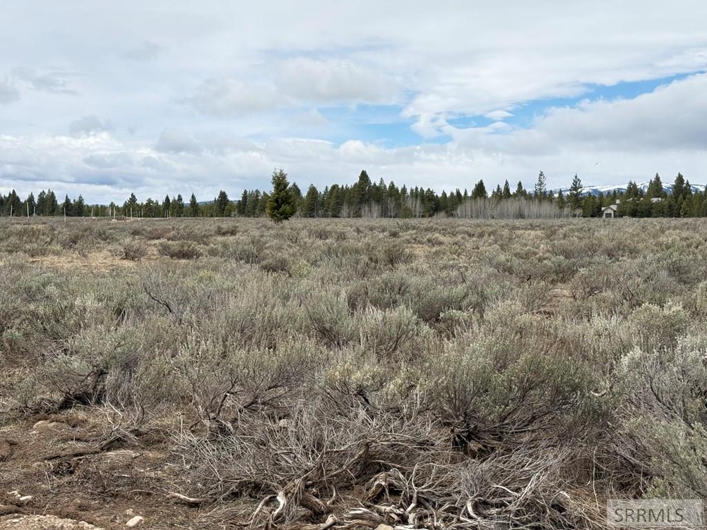 4055 Ryan, ISLAND PARK, Idaho image 6