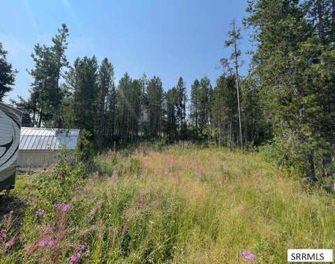 Photo of 4114 S Big Springs Loop Road, ISLAND PARK, ID 83429 (MLS # 2188577)