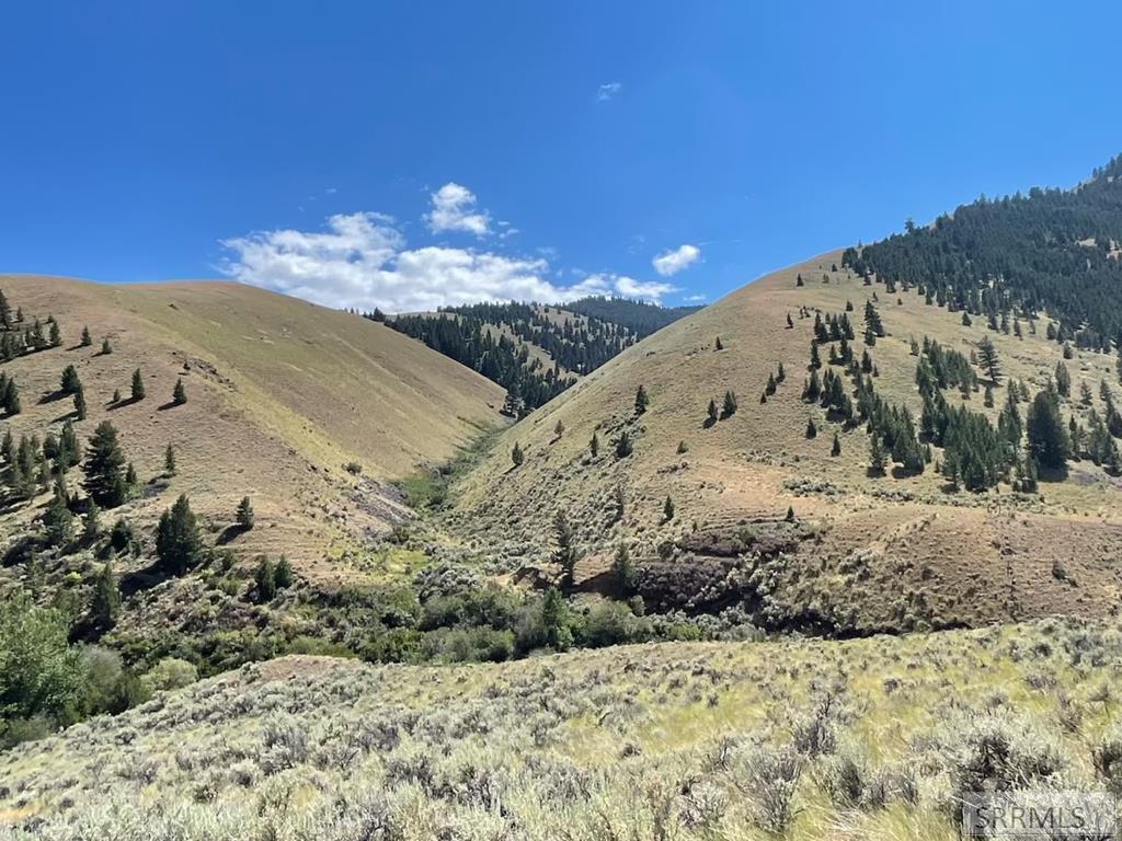 TBD Agency Creek Road, TENDOY, Idaho image 1