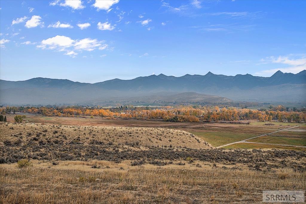 TBD Diamond Creek Road, SALMON, Idaho image 7