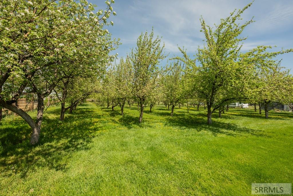 3543 665 N, MENAN, Idaho image 32