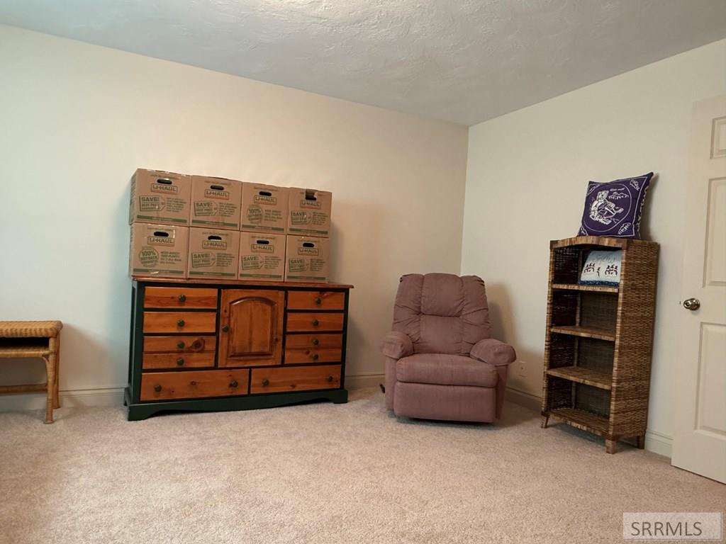 709 E 800 N, FIRTH, Idaho image 33