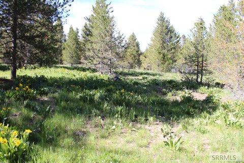 Vacant Land For Sale - 0000 N Buffalo Dr<br/> ISLAND PARK, ID 83429
