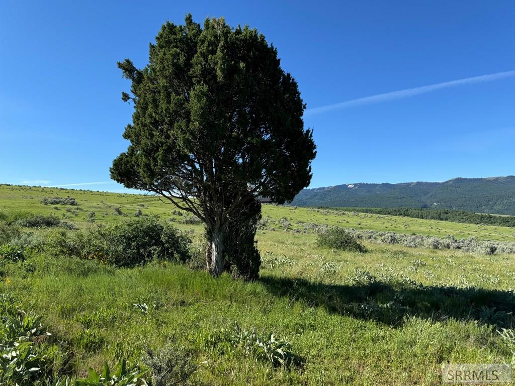L16B4 Sumac Loop, SWAN VALLEY, Idaho image 3
