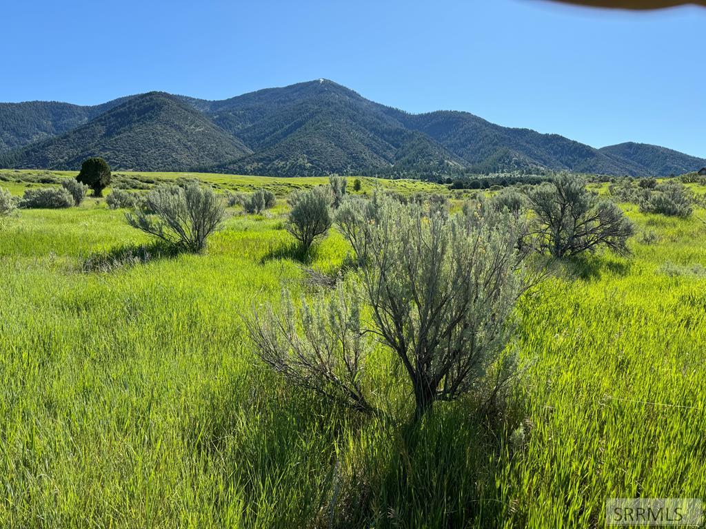 L16B4 Sumac Loop, SWAN VALLEY, Idaho image 1