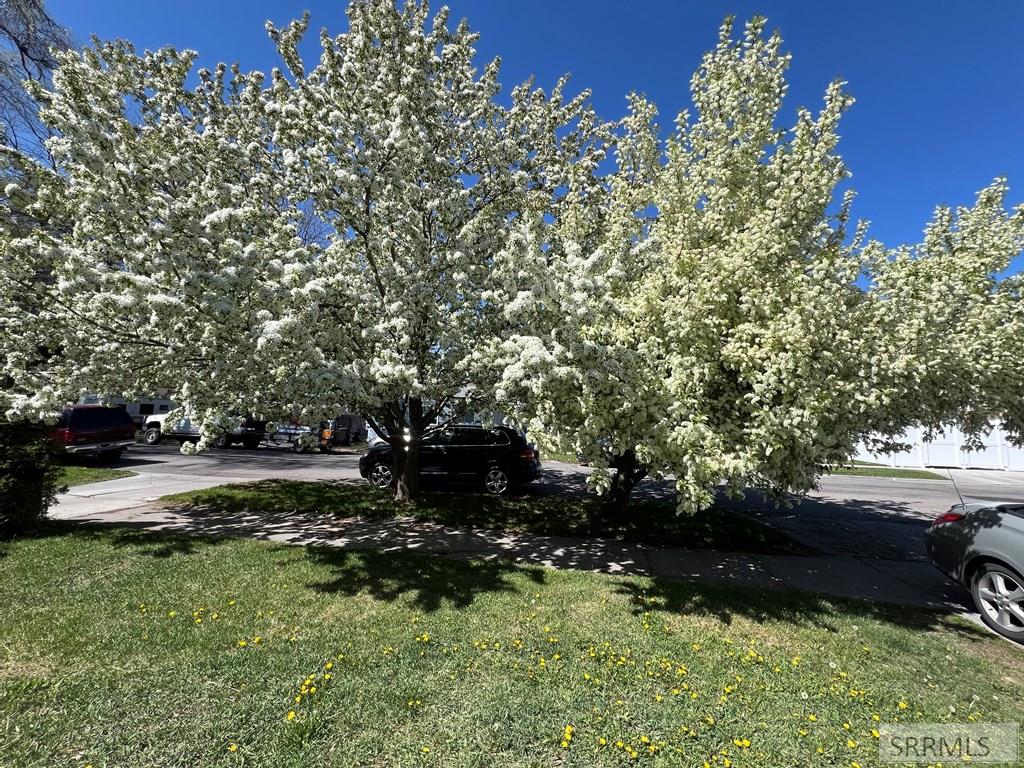 234 8th Street, IDAHO FALLS, Idaho image 4