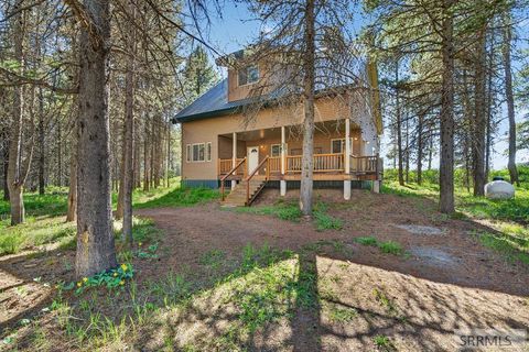 Homes For Sale - 2777 Pinehaven Drive<br/> ISLAND PARK, ID 83429