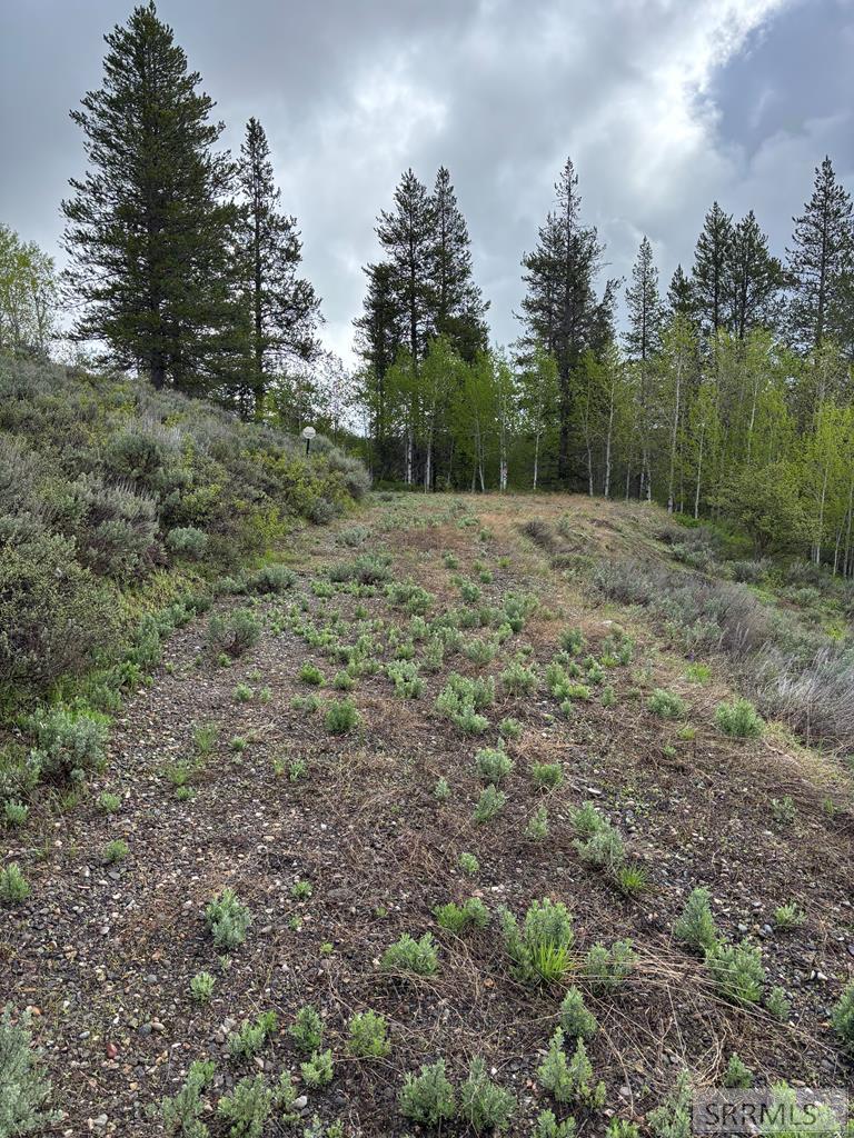 1530 Potpourri Drive, ASHTON, Idaho image 6