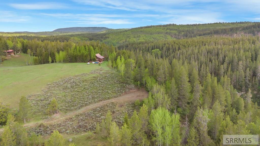 1530 Potpourri Drive, ASHTON, Idaho image 18