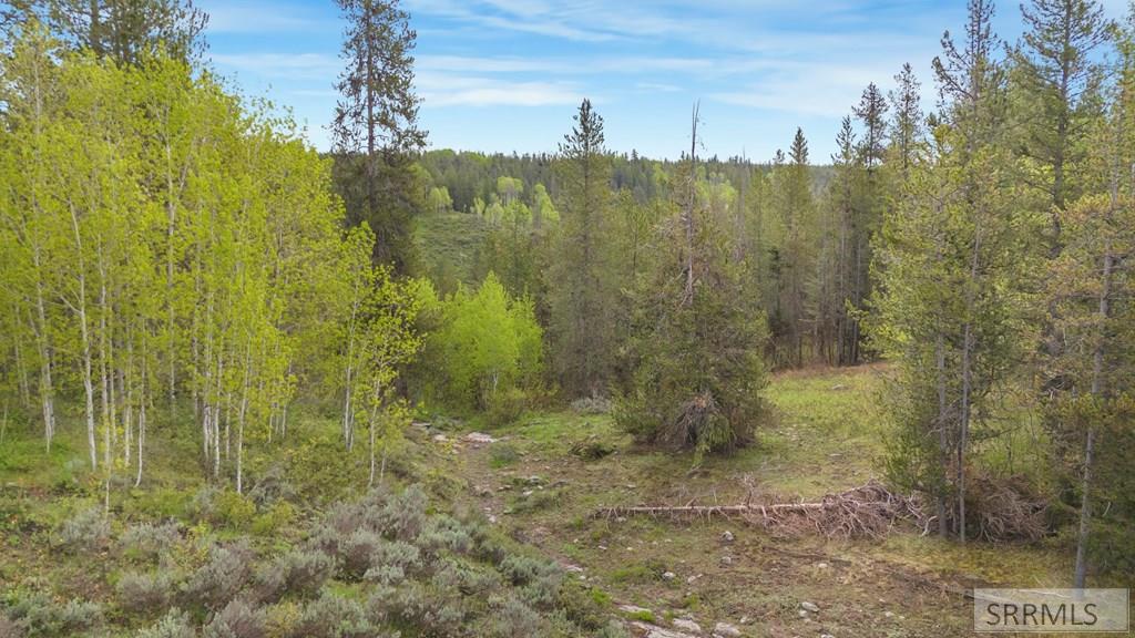 1530 Potpourri Drive, ASHTON, Idaho image 7