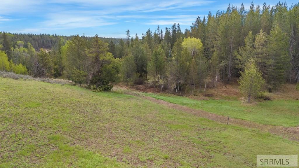 1530 Potpourri Drive, ASHTON, Idaho image 14