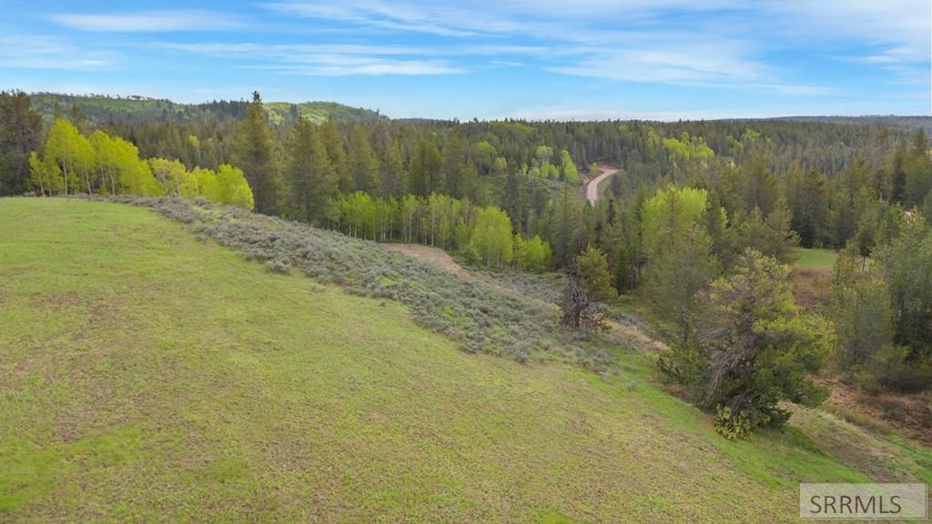 1530 Potpourri Drive, ASHTON, Idaho image 15