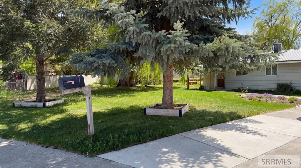 655 James Place