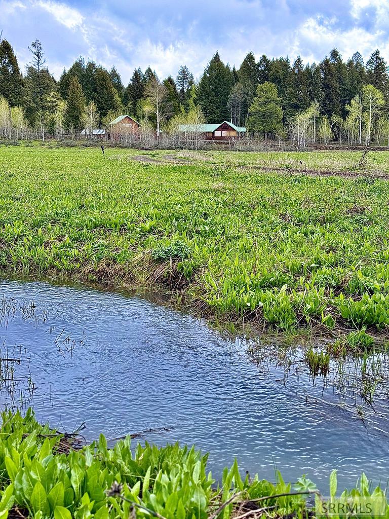 4124 Lariat Way, ISLAND PARK, Idaho image 1