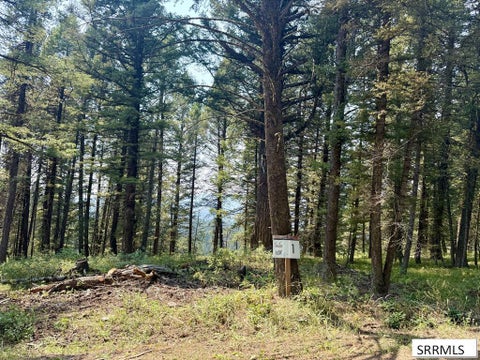 Vacant Land For Sale - 4911 Alpenglow Way<br/> ISLAND PARK, ID 83421