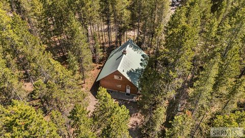 Photo of 4173 Shoshone Avenue, ISLAND PARK, ID 83429 (MLS # 2186703)