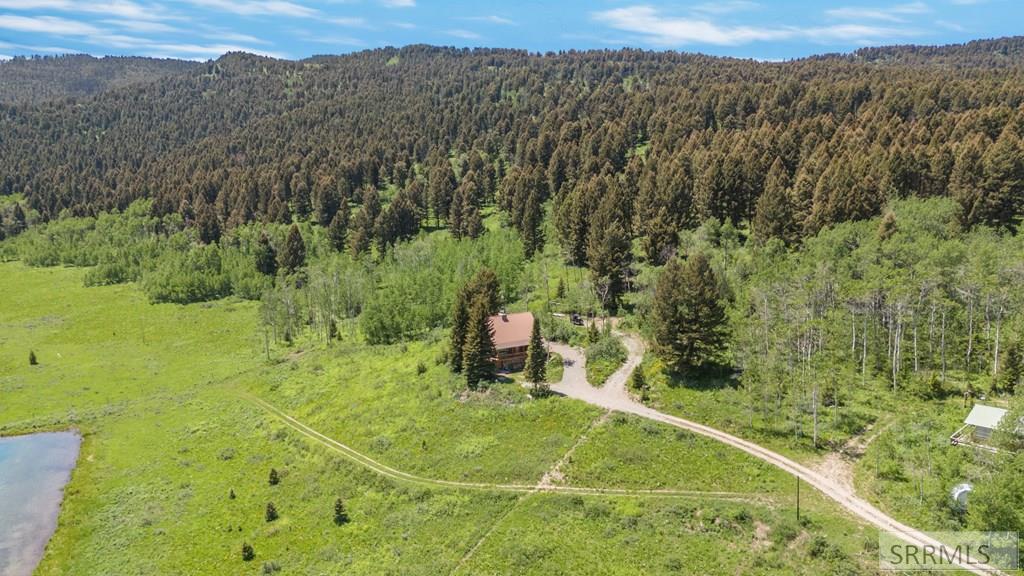 5603 2 2 Lazy 2 Road, ISLAND PARK, Idaho image 34