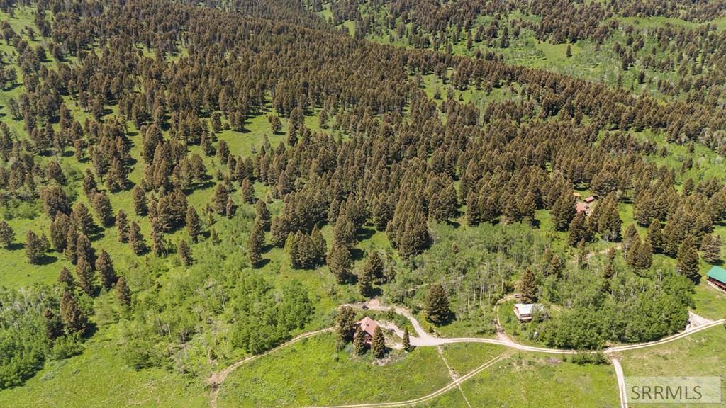 5603 2 2 Lazy 2 Road, ISLAND PARK, Idaho image 33
