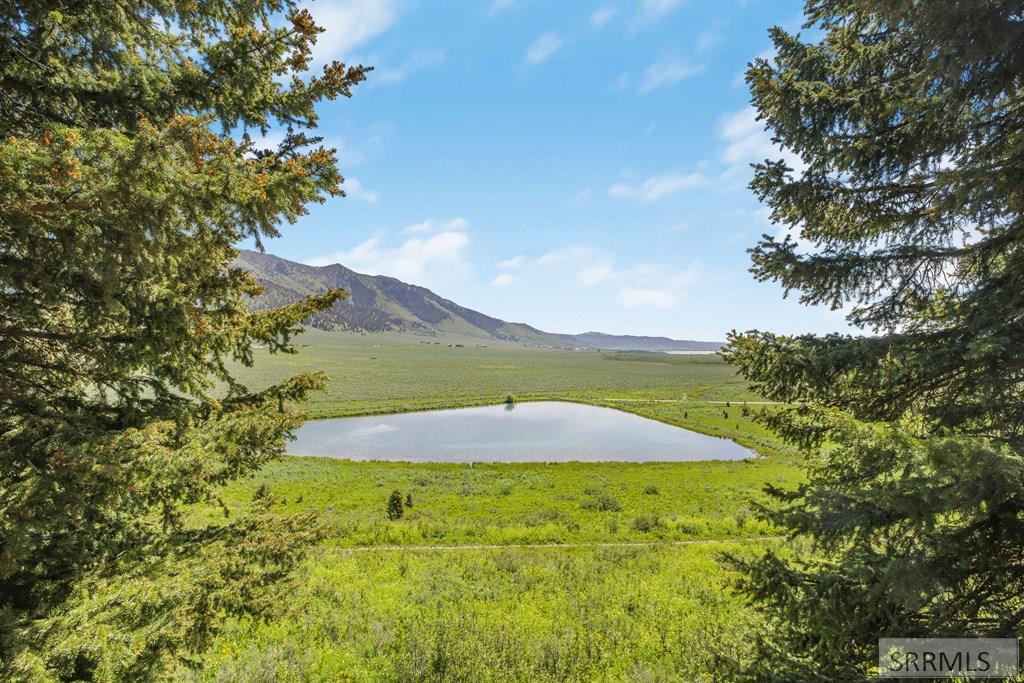 5603 2 2 Lazy 2 Road, ISLAND PARK, Idaho image 37