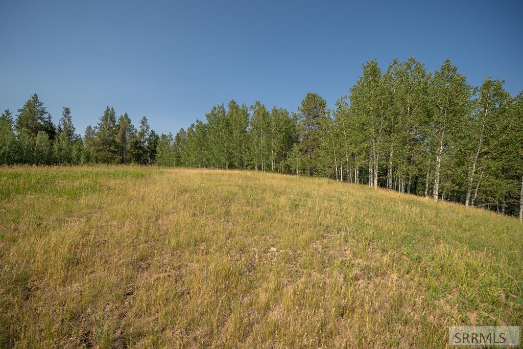 Lot 11 Potpourri Drive, ASHTON, Idaho image 1