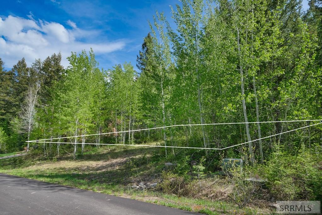 42 Blackfoot Trail, VICTOR, Idaho image 6