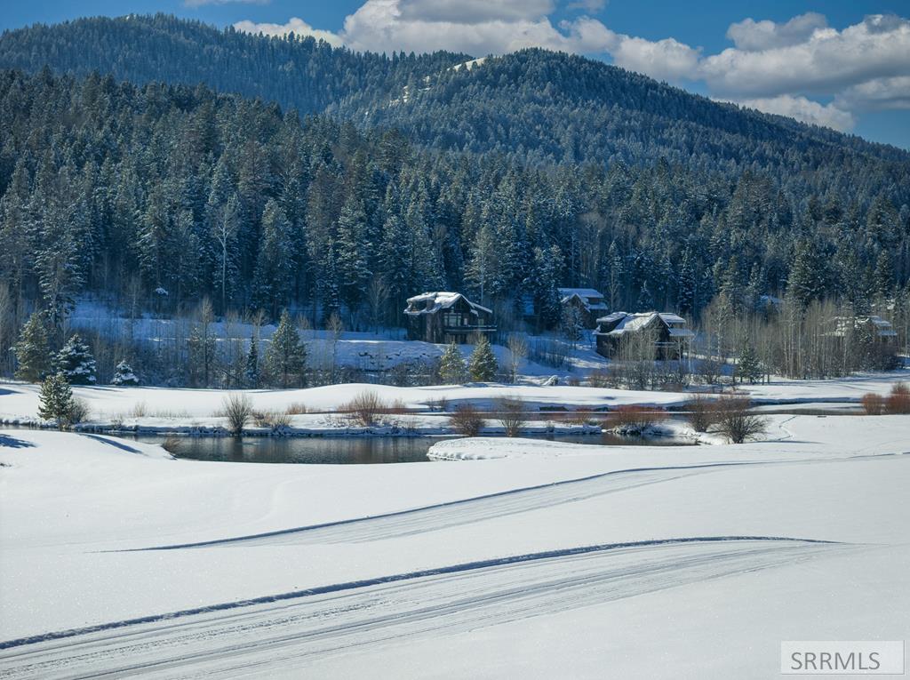 42 Blackfoot Trail, VICTOR, Idaho image 30