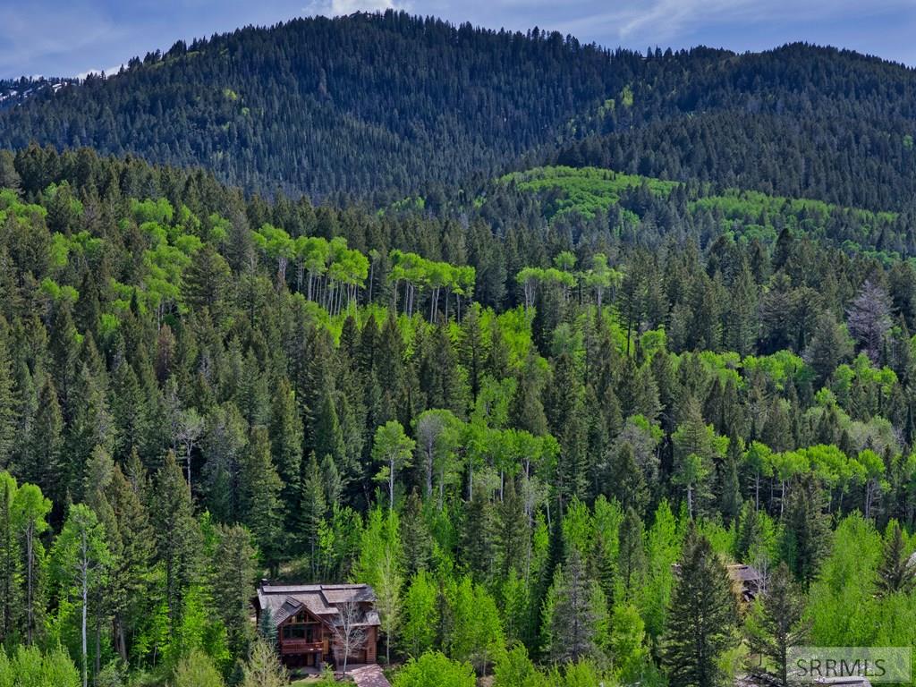 42 Blackfoot Trail, VICTOR, Idaho image 24