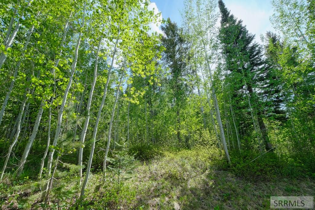 42 Blackfoot Trail, VICTOR, Idaho image 26