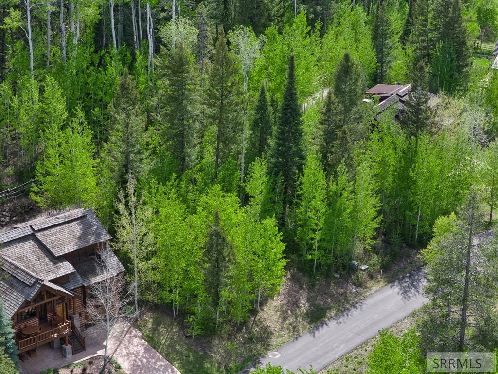 42 Blackfoot Trail, VICTOR, Idaho image 22