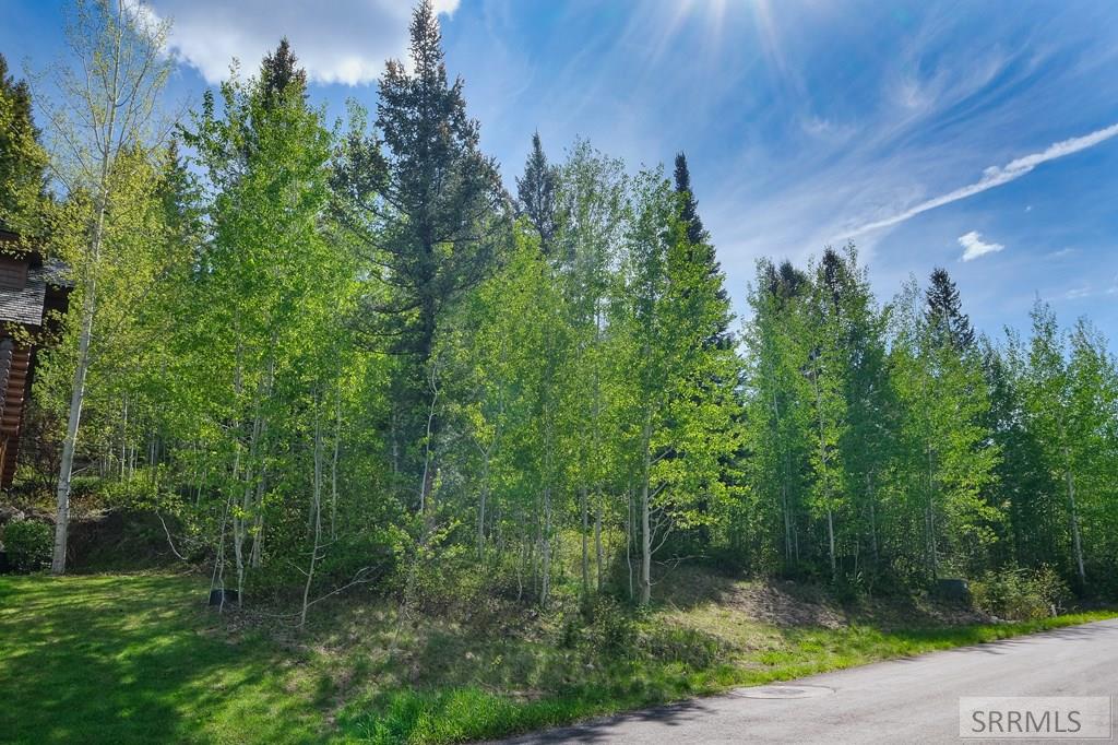 42 Blackfoot Trail, VICTOR, Idaho image 3